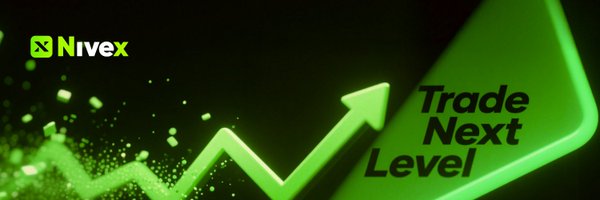 nx_Labs Profile Banner