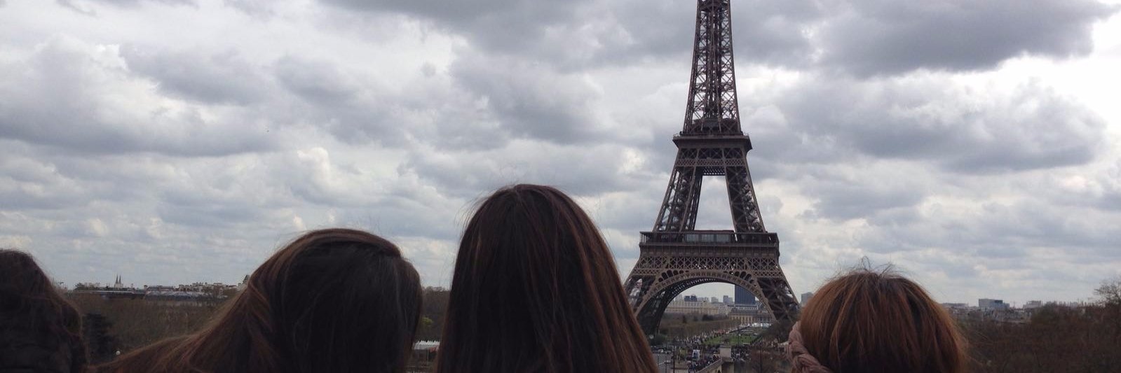 elenaWTC's profile banner image
