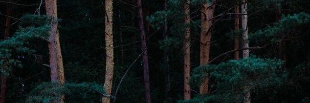 aliffbulat's profile banner image