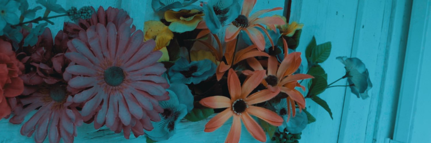 VampireKid__'s profile banner image