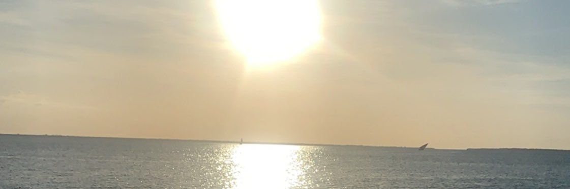 Heddi banner