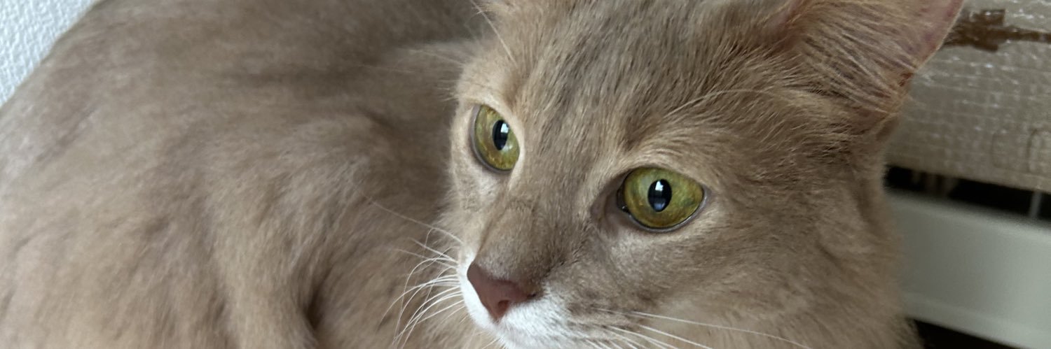 雪　落とし物には気をつけて banner