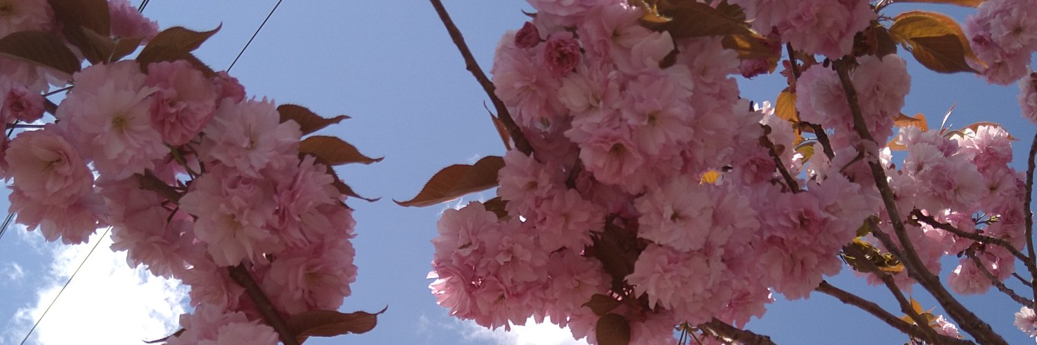 Ricky たまに出没 banner