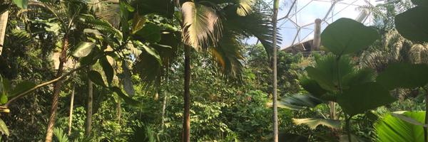 bhmullish Profile Banner