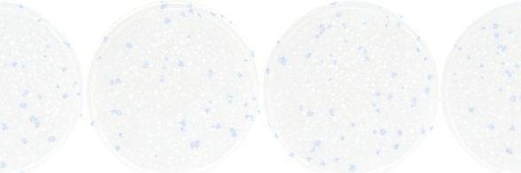 UF IDDynamics banner