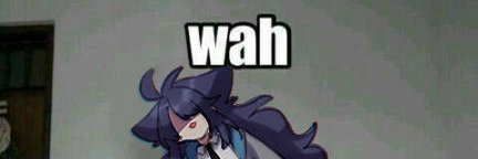 ZN is ded banner