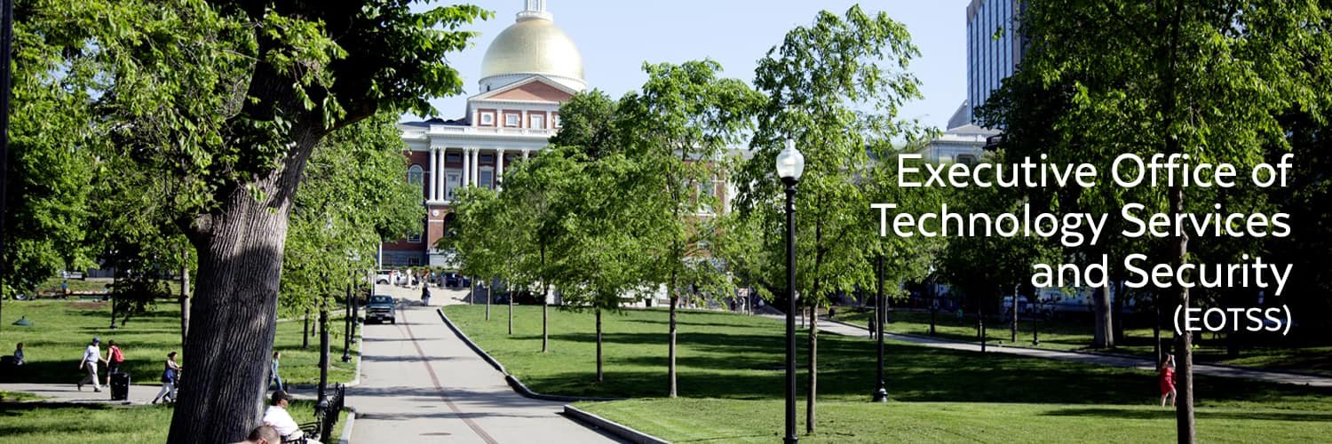 Massachusetts Digital Service banner