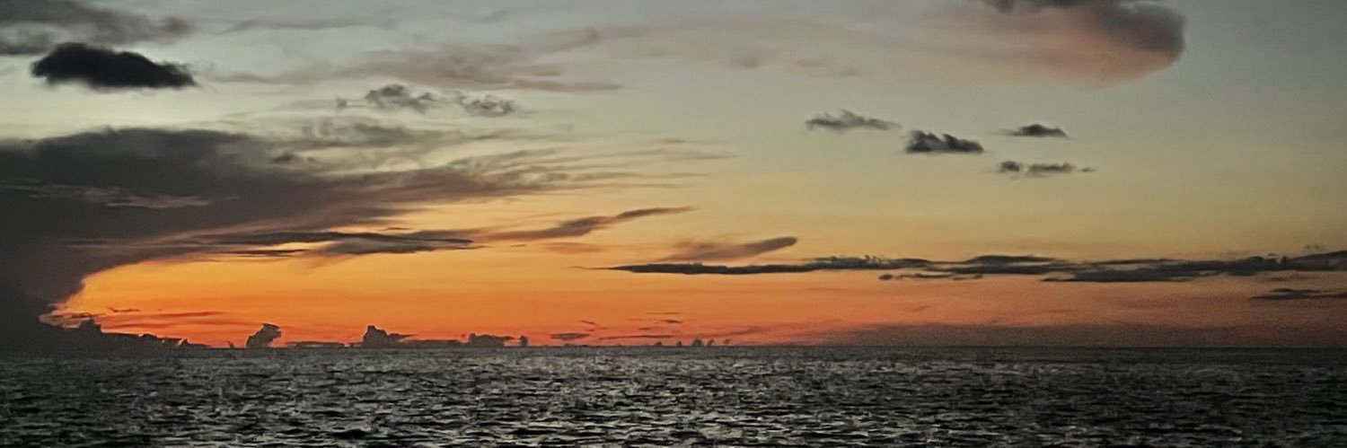 CitlaliEMora's profile banner image