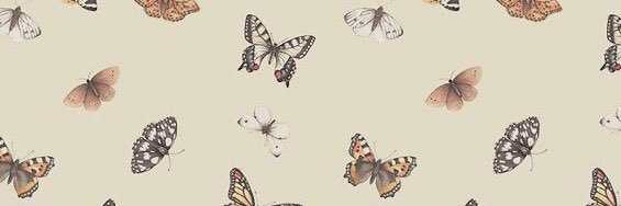 jilly_bean_17's profile banner image