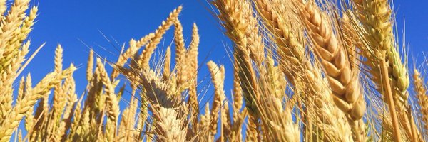 TimacAgroUK Profile Banner