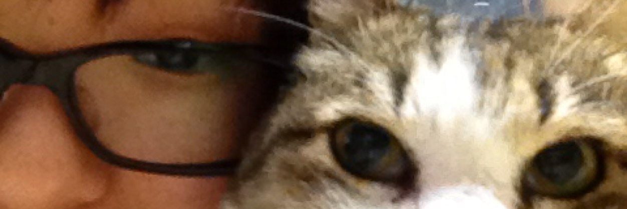 o_161's profile banner image