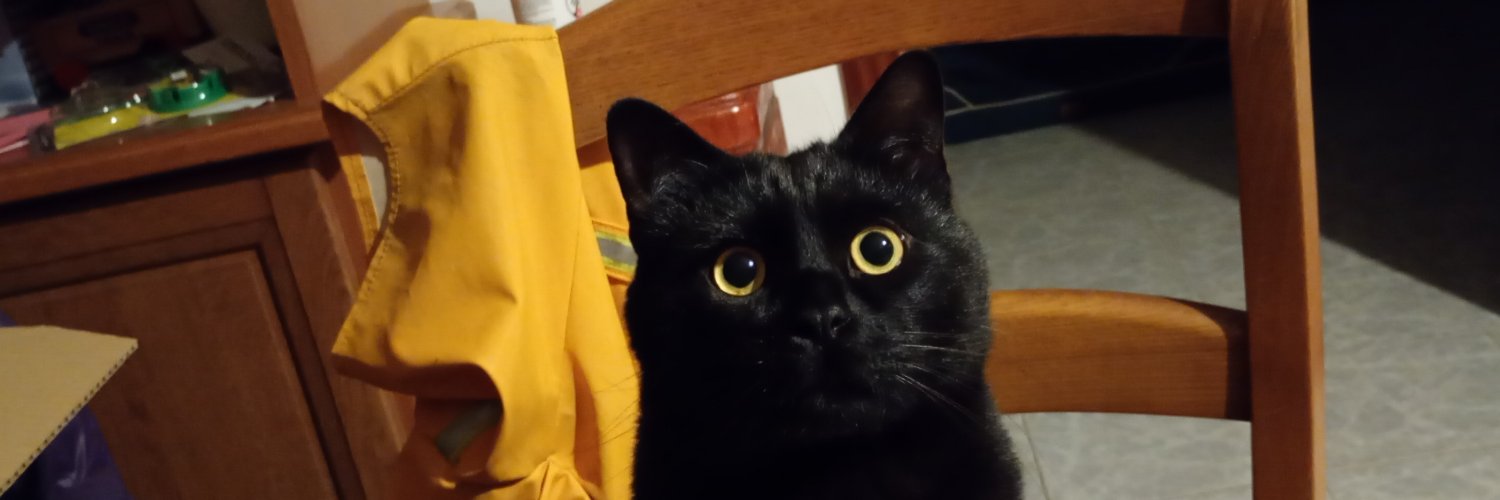 Pascal.G 💎⭐💖♎🕉️ banner