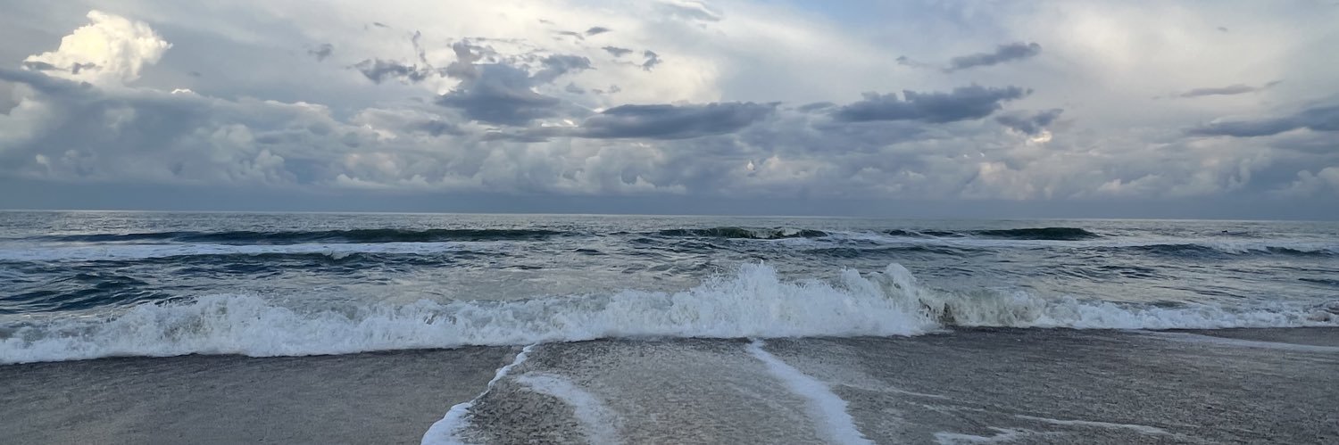 karlydynko's profile banner image