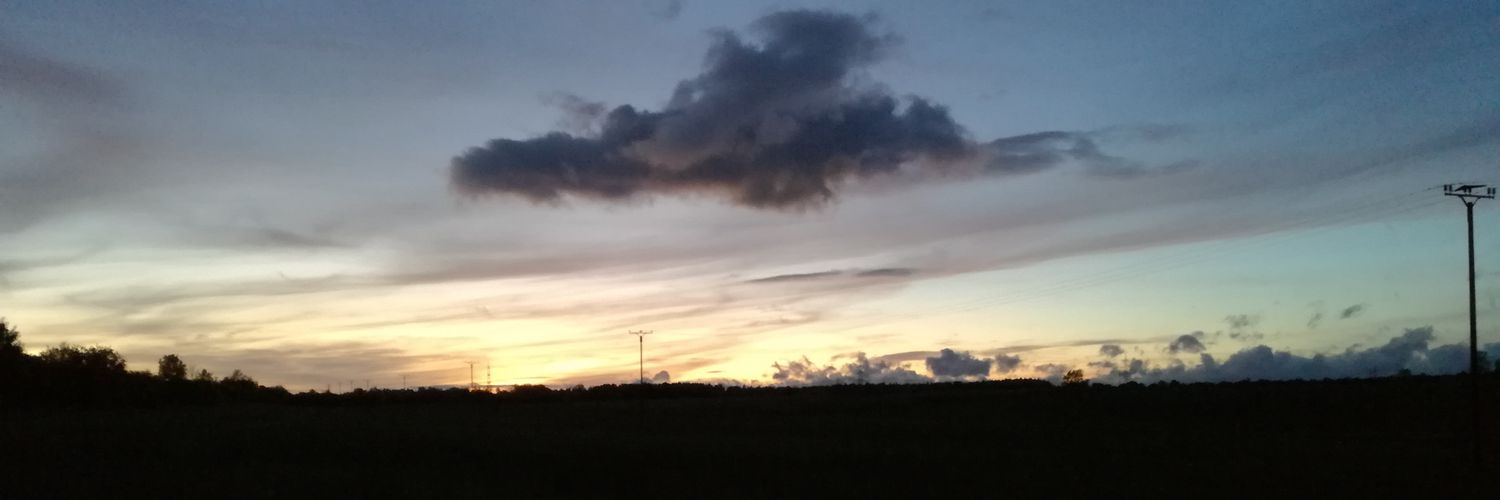 Maikestarset's profile banner image
