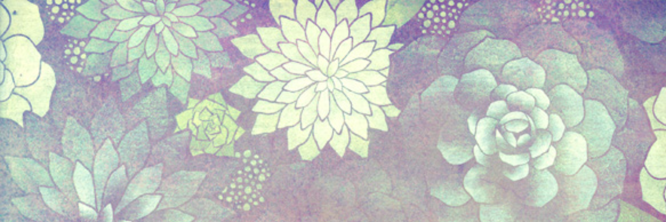 Merisaica's profile banner image