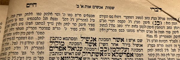 AnshelPfeffer Profile Banner