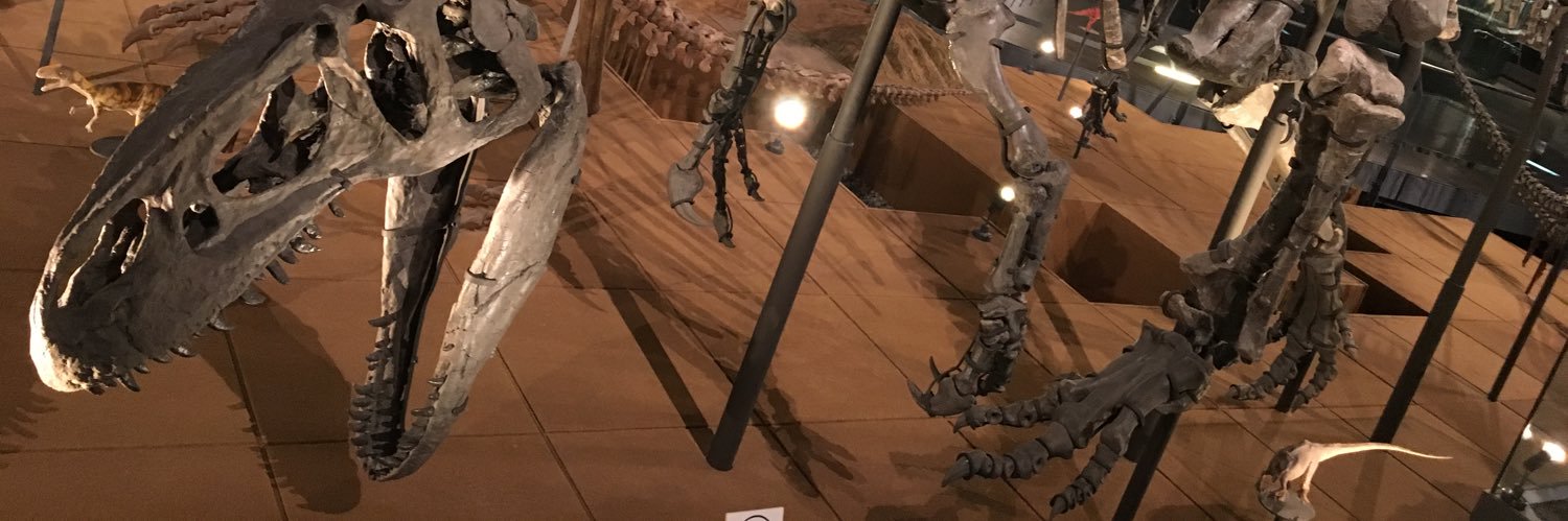 いろはす banner