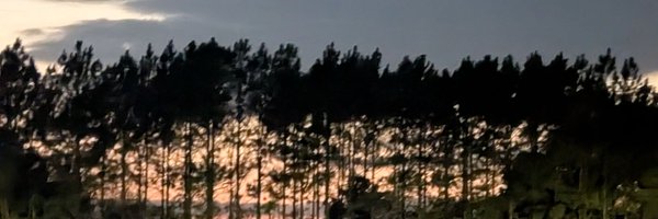 HowardEGlover3 Profile Banner