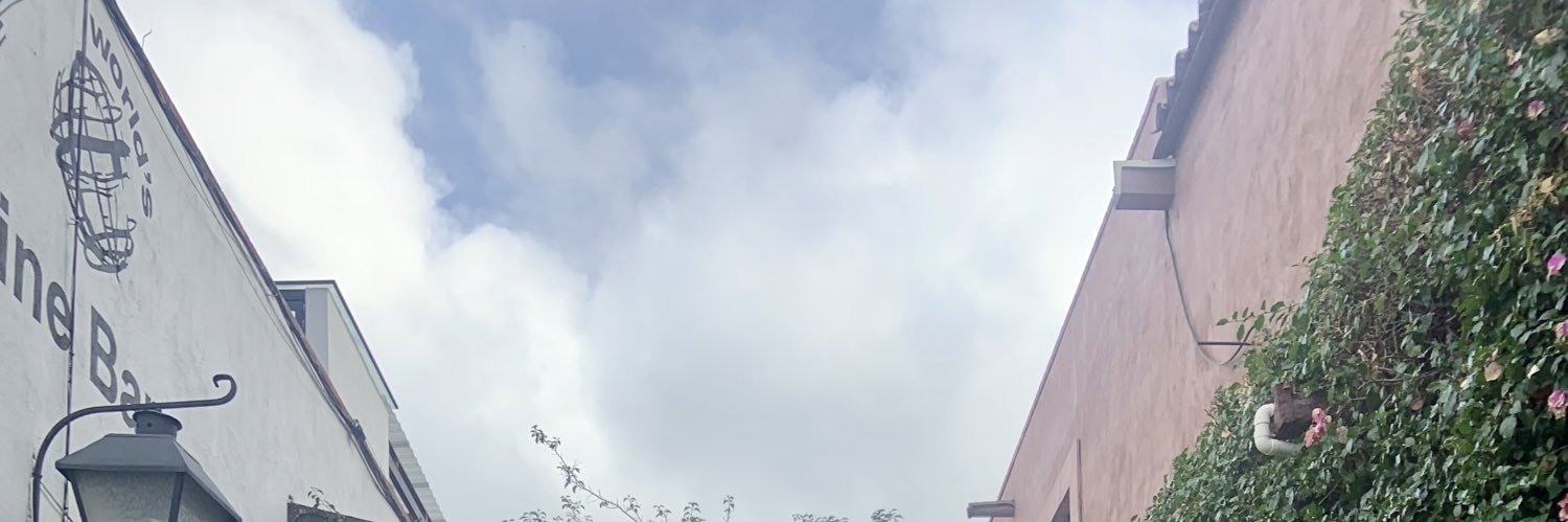 VolMz90's profile banner image