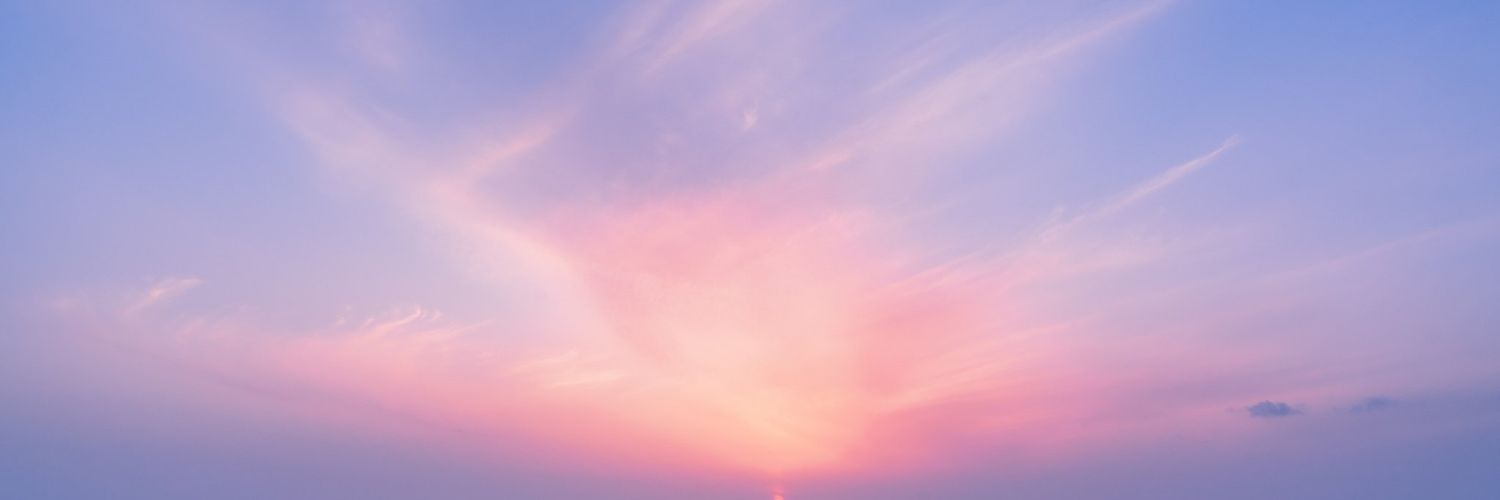 sherroong's profile banner image