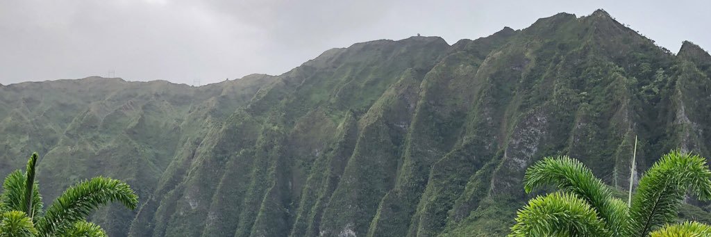 xoxdaaisy's profile banner image