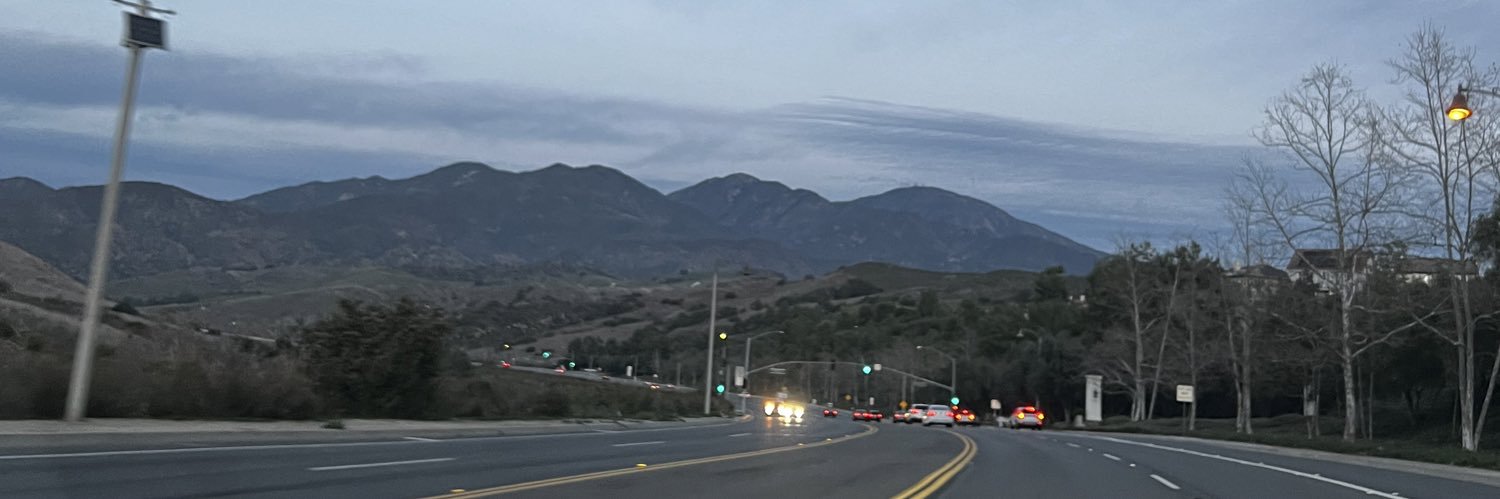 Skrtlett's profile banner image