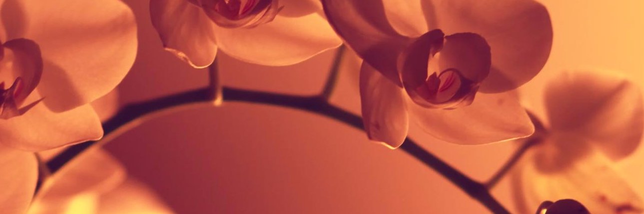 ananda4532's profile banner image