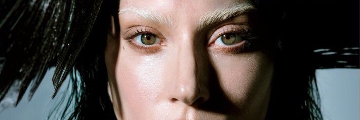 The Polish Pocket Pig banner