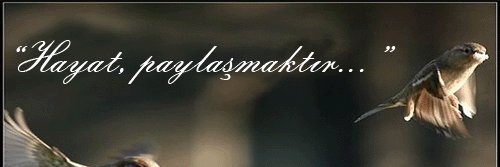 selim KARAMAN banner