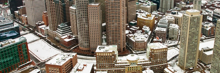 Susan Whitaker banner