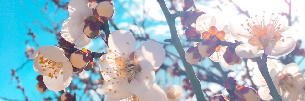 inotesor's profile banner image