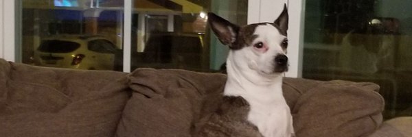 RoboHoboMagic74 Profile Banner