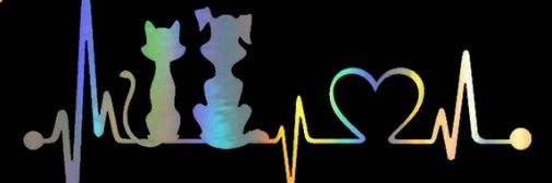 Andreia Santos banner