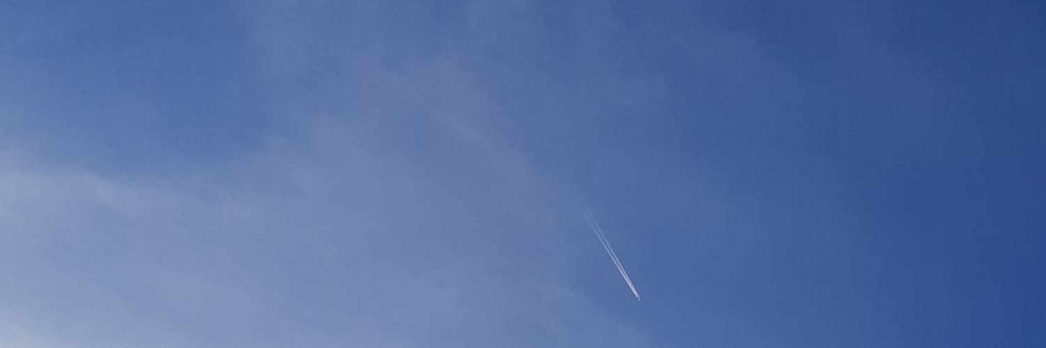 nidioo's profile banner image
