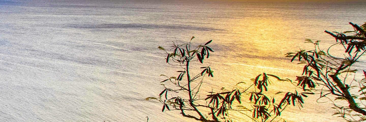 magid18007's profile banner image