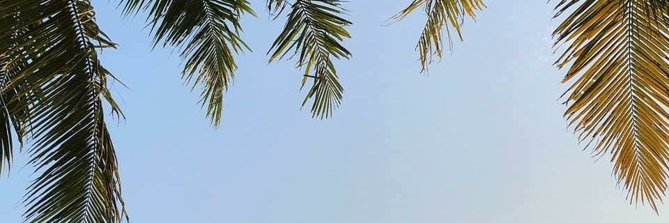 nissichairo's profile banner image