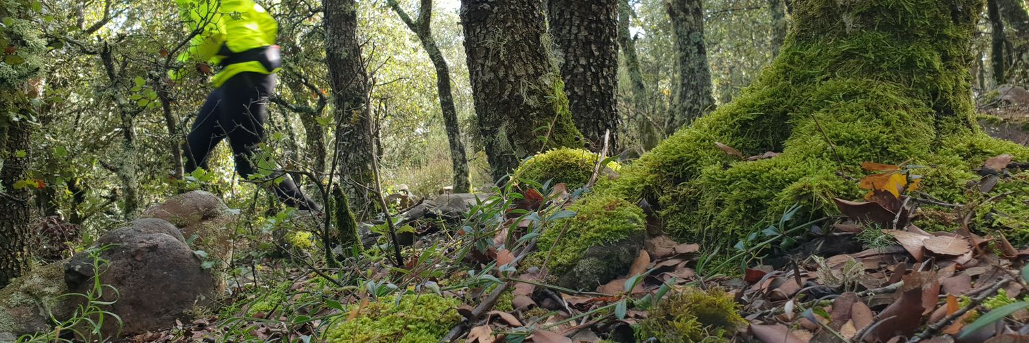 TrailNutrium's profile banner image