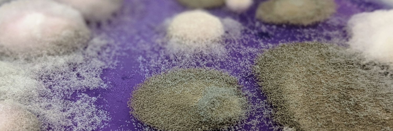 SirMicrobe's profile banner image