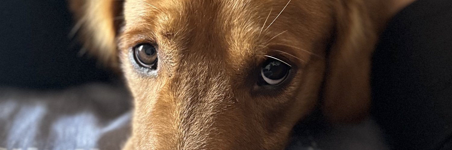cosmedls's profile banner image