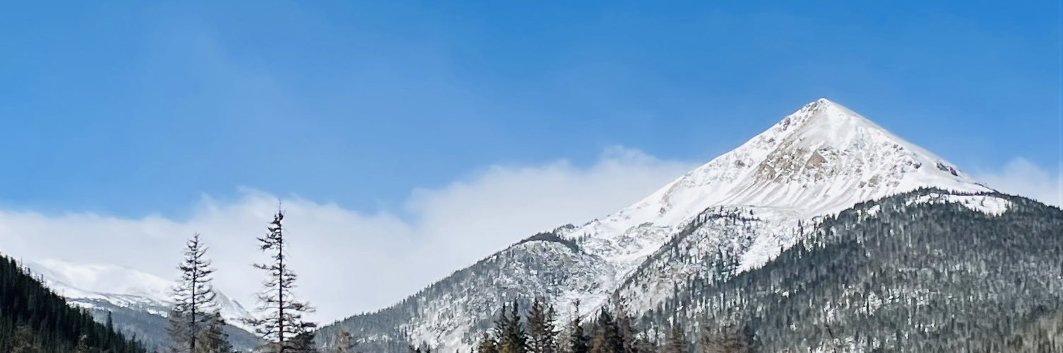 Ella Simms banner