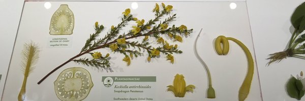 _danspark_ Profile Banner