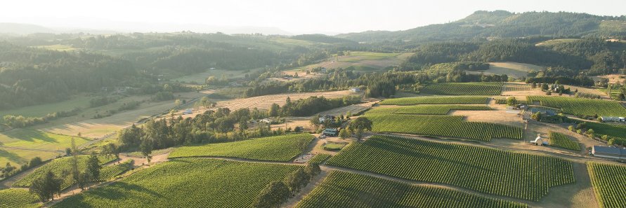 Megan Anne Cellars banner