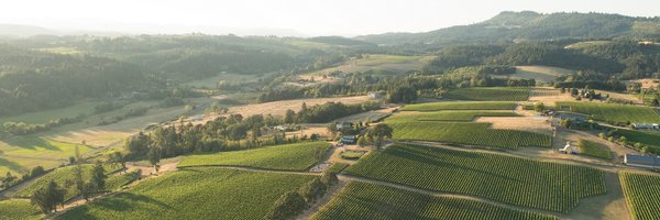 MeganAnneCellar Profile Banner
