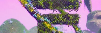 tsoler2424's profile banner image