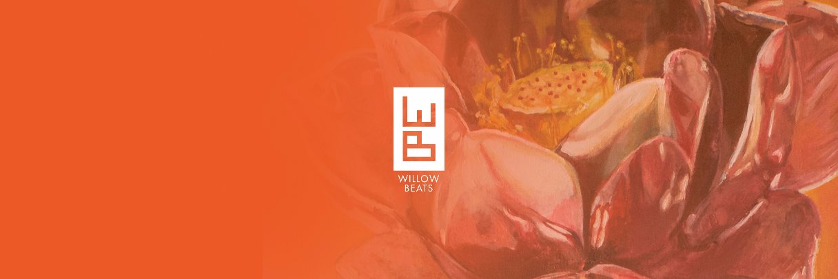Willow Beats banner