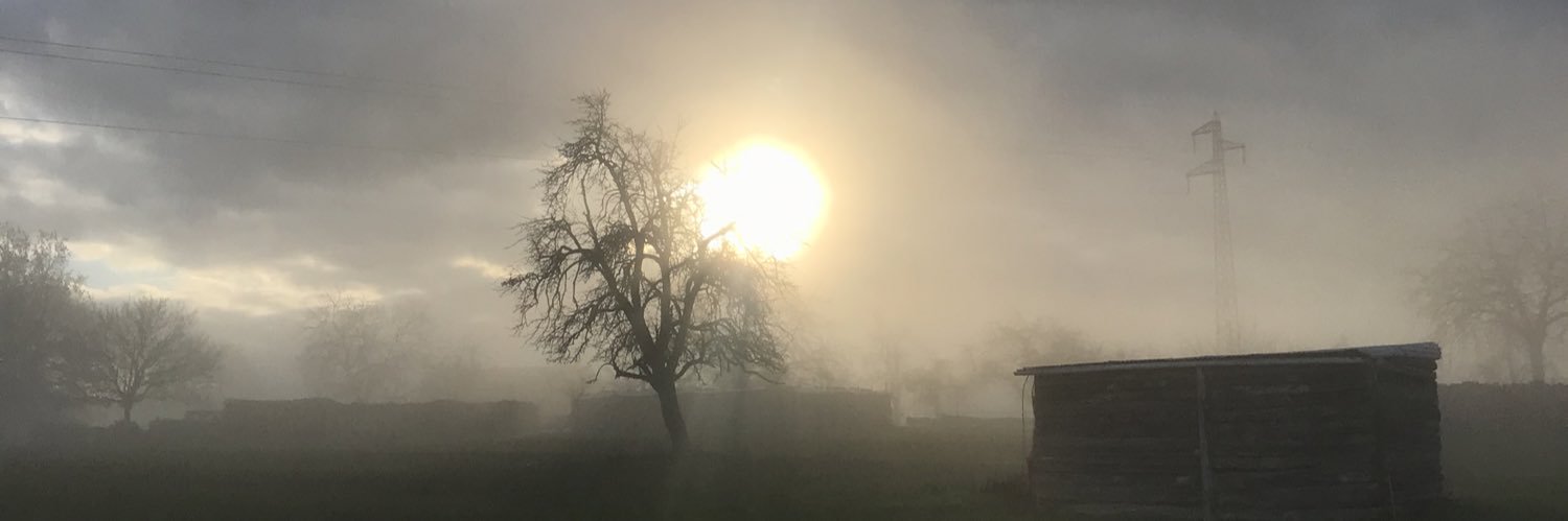 marie_wss's profile banner image