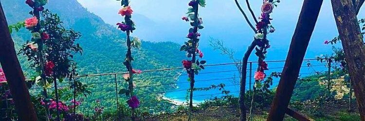 hanan_8766's profile banner image