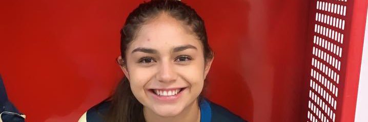 Victor Hugo II 🔅 banner