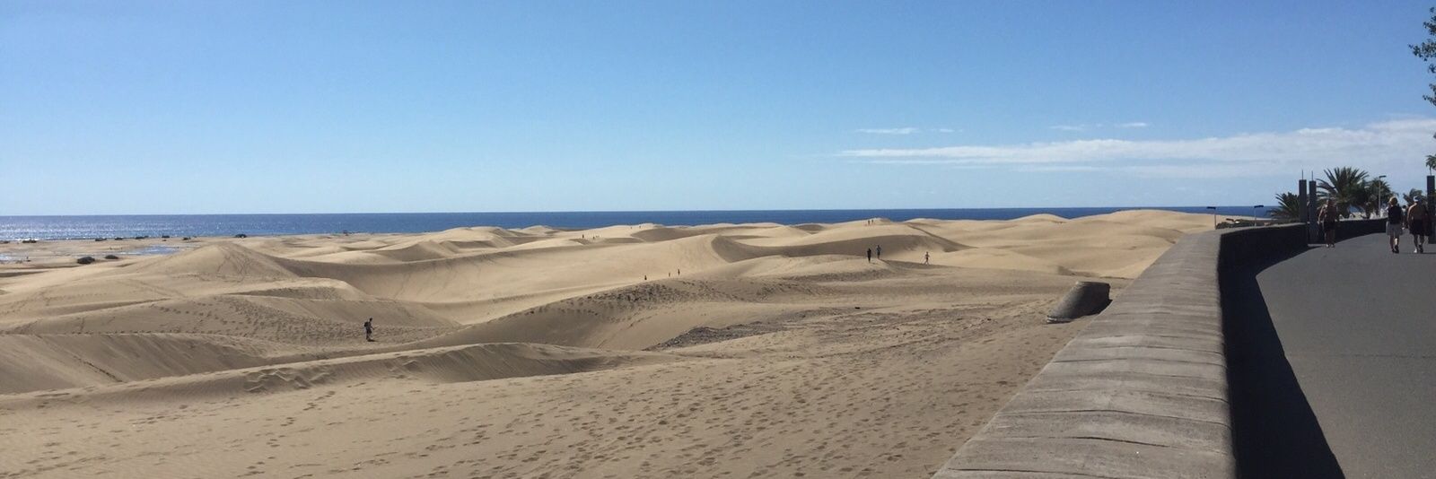 canaryfun's profile banner image