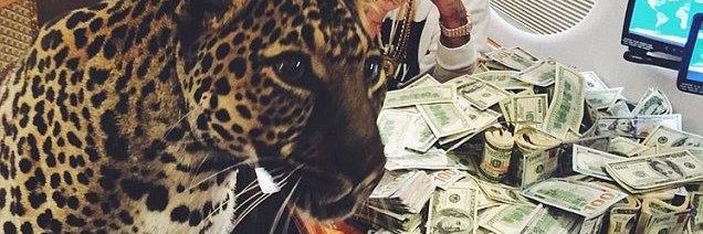 Andreww1995_'s profile banner image